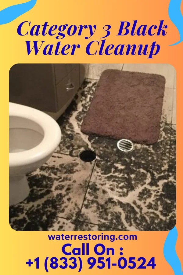 Category 3 Black Water Cleanup in Hettinger, ND